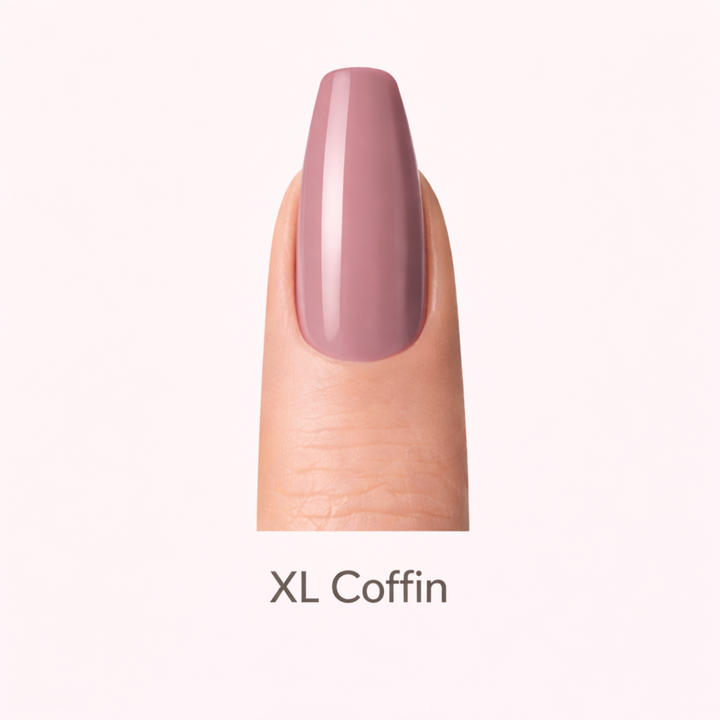 XL Coffin